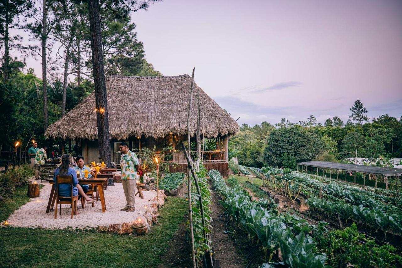 Blancaneaux Lodge By Francis Ford Coppola San Ignacio Buitenkant foto