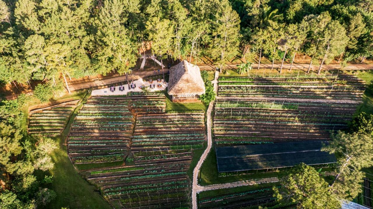 Blancaneaux Lodge By Francis Ford Coppola San Ignacio Buitenkant foto