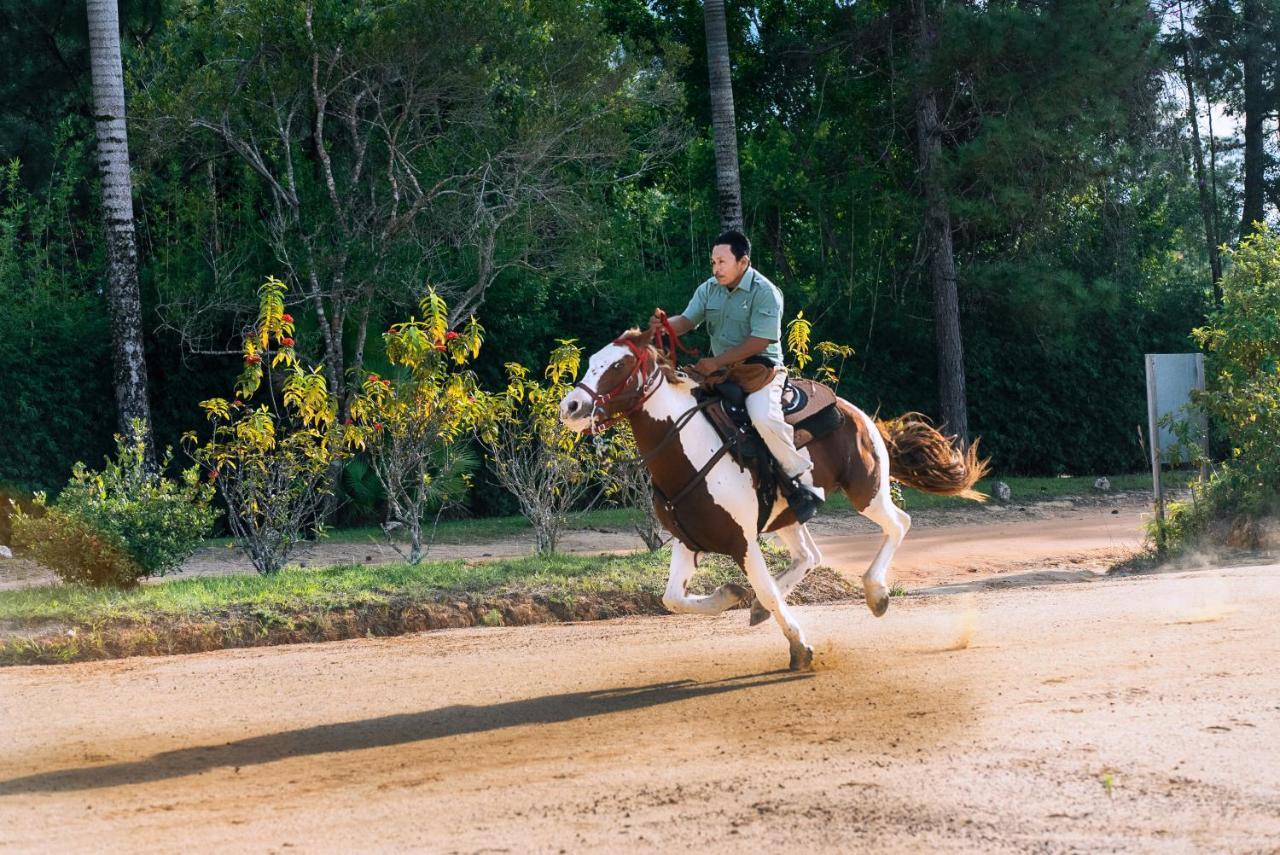 Blancaneaux Lodge By Francis Ford Coppola San Ignacio Buitenkant foto