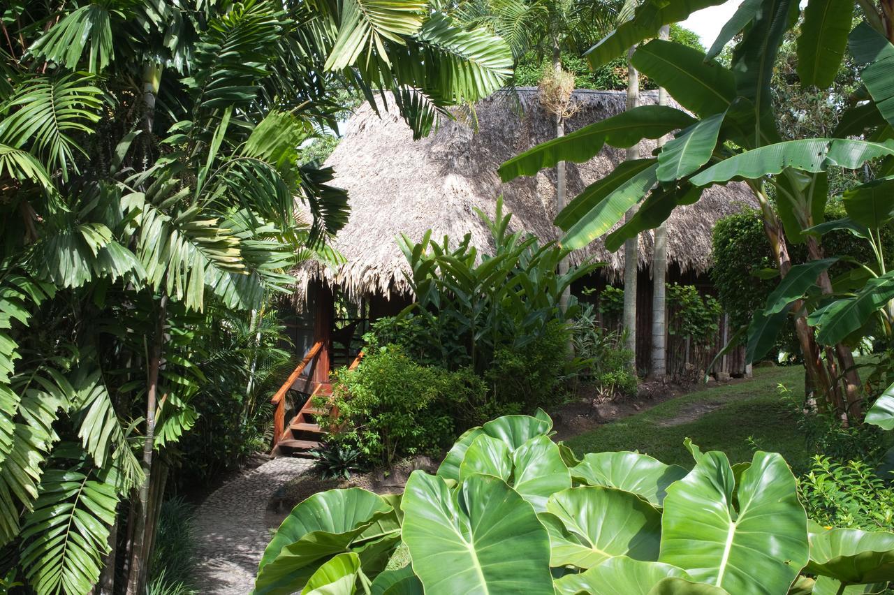 Blancaneaux Lodge By Francis Ford Coppola San Ignacio Buitenkant foto